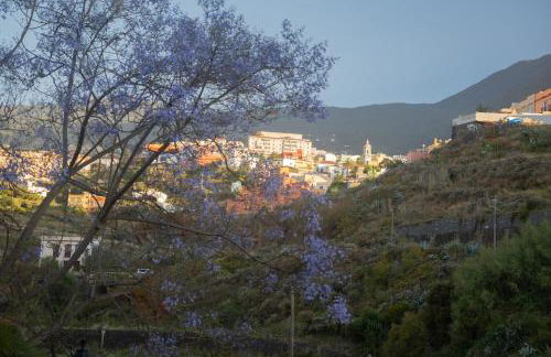 Finca Pico - Foto 43