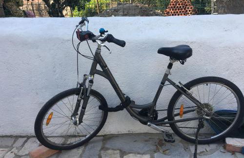 ribeira dos marinheiros vermelho - Foto 43