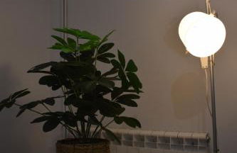 El Paraiso - Foto 22