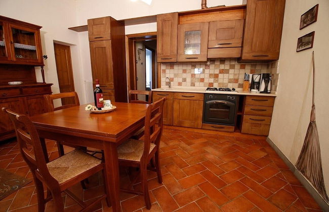 Gatto Bianco Tizzauli - Foto 25