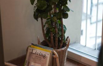 Bruno Domus Colosseo - Photo 23