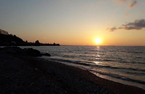 Hotel Dimitra - Foto 63