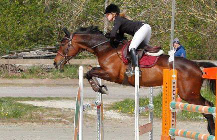 Airport Paris Eiffel Tower Center Roissy CDG - Foto 34