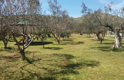 Ktima Anastasia - Foto 46