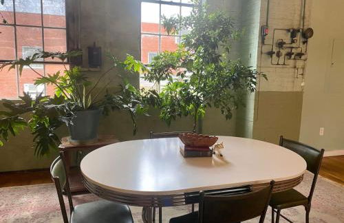 Downtown Lynchburg REAL loft living Va Virginia - Foto 33