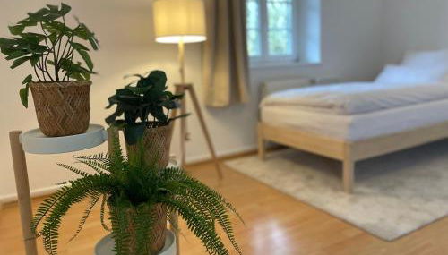 Wohnung mit 3 Schlafzimmern, Dachterrasse und Flussblick - Foto 5