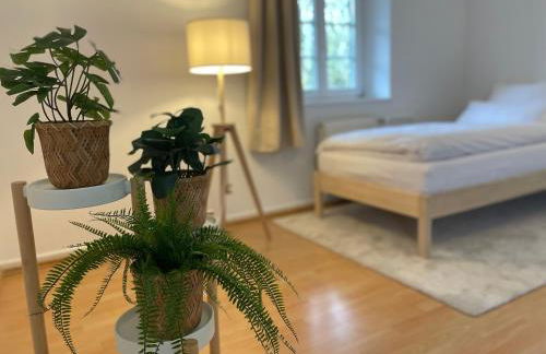 Wohnung mit 3 Schlafzimmern, Dachterrasse und Flussblick - Foto 5