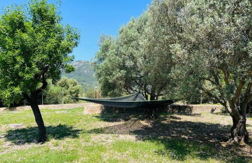 Villa - Sun and Moutain, Sa Murtera - Foto 8