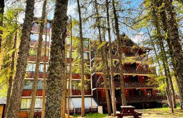La joue du loup, aux pieds des pistes et vue sur montagnes - Photo 26
