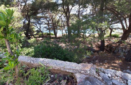 Apartments by the sea Cove Donja Kruscica - Donja Krusica, Solta - 12418 - Photo 30