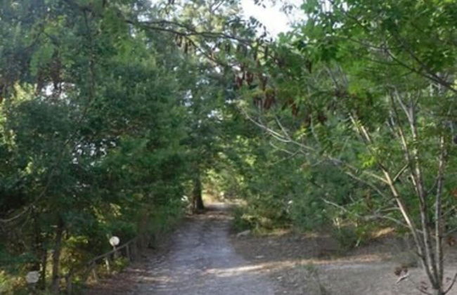 Le Dieci Querce - Foto 20