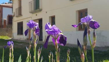 Apartamento LA MONTESA - Foto 2, Garden