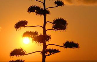 Kavousi Resort - Foto 66