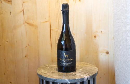 Quinta das Areias - Solar da Pena - Foto 30