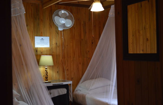 Lion Tree Bush Lodge - Foto 5