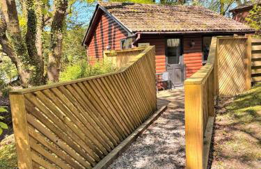 Wren 21-Hot Tub-Woodland Lodges-Tenby-Camarthenshire - Foto 15