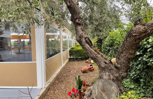 Finca Laurel - Foto 14