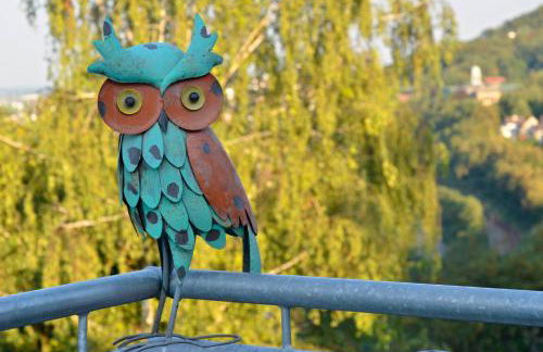 Ferienwohnung Uhuherz - Foto 27