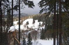 Im alten Kino - Foto 34