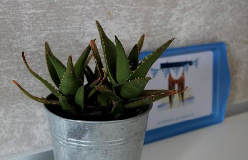 CHOÉ house - Foto 18