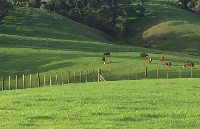 Veld View Bed & Breakfast - Photo 53