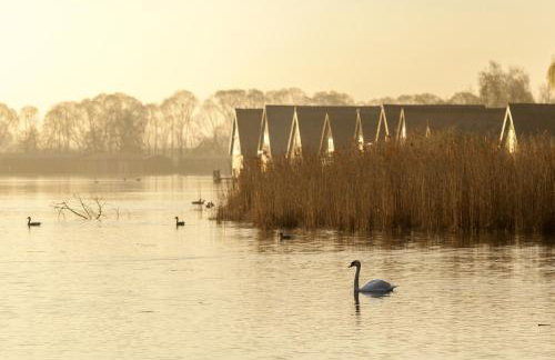 Müritzblick am Wünnow - Photo 45