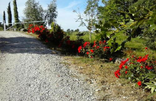 Agriturismo Valiana - Foto 75