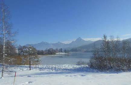 FW Weissensee - Foto 42