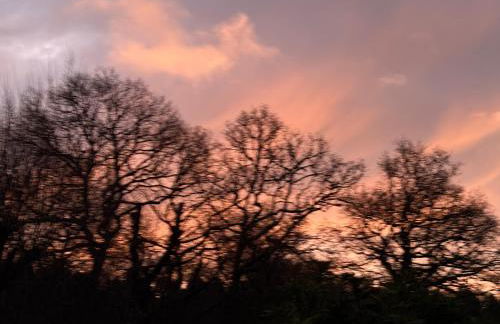 Willow Cottage - Foto 34