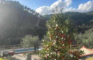 Podere il Glicine Wellness Charme & Relax - Photo 29