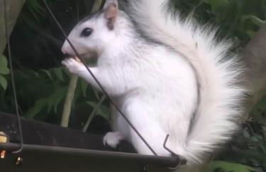 Life's Good Retreat Bear Cottage - Foto 26