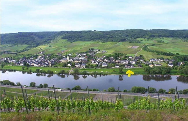 Appealing Apartment in Losnich - Photo 9