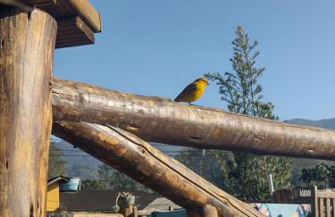 Chale Disco de Arado - Photo 4