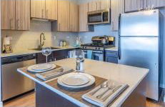 Best skyrise in downtown Chicago - Photo 22