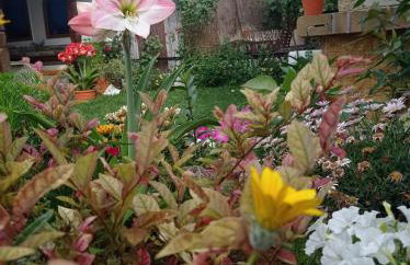 Poly's Sea Side House - Foto 32