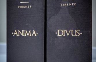 Garibaldi Luxury apartments - Photo 80