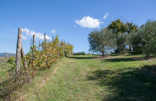 Colle Mafalda - Foto 32