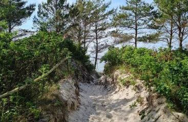 Apartament DoriSun-Lighthouse Mrzeżyno - Foto 31