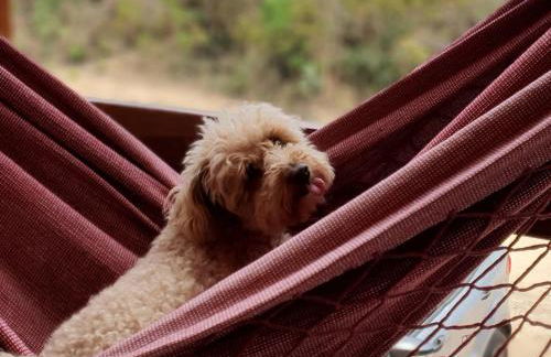 Espaço Canela-de-Ema - Foto 49