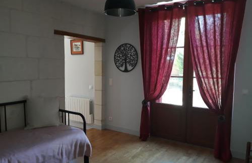 Gite La Vigneronne en Touraine - Foto 6