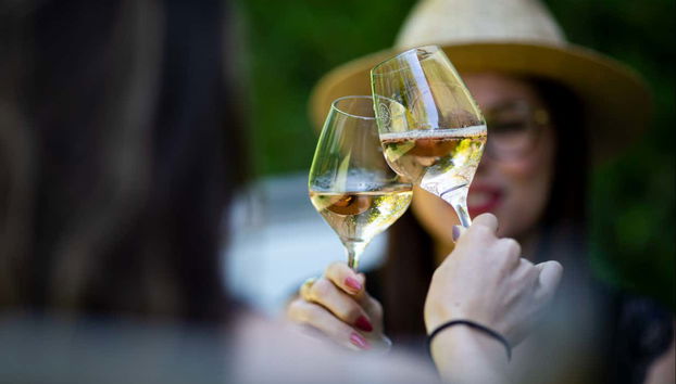 Un brindisi con del vino bianco