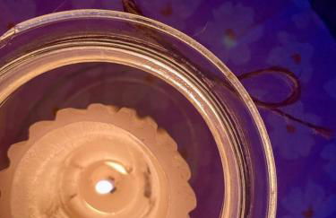 Pension und Ferienwohnung am Teich - Foto 23