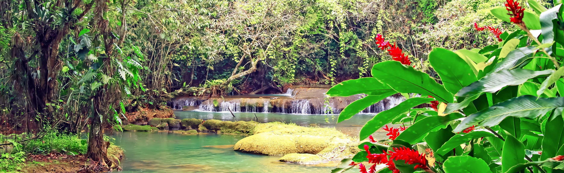 Excursión a Río Negro y Cataratas YS