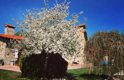 Espacio Shangrila.One - Foto 53