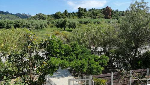 Herodicus villa - Foto 4