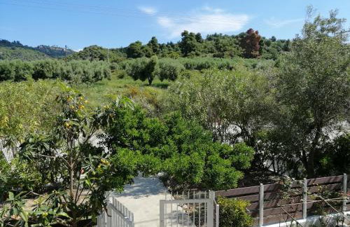 Herodicus villa - Foto 4