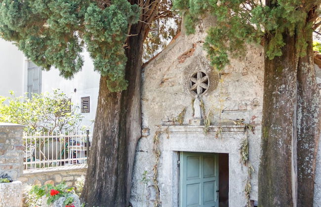 Sea star Danica - Foto 48