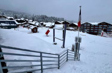 Le LODGE Les Esserts 1100 Morillon - Foto 19