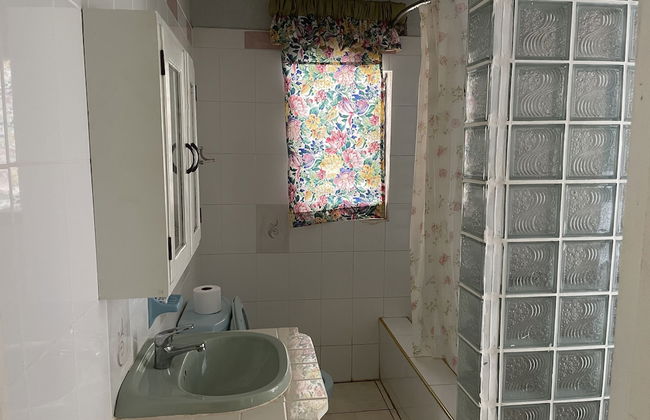 Pirate Palms - Foto 24