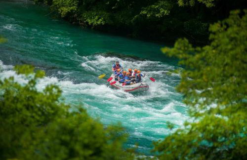 Apartman Djak - Foto 8